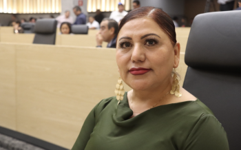Implementar mecanismos de vinculación laboral para pueblos indígenas, propone diputada Araceli Celestino